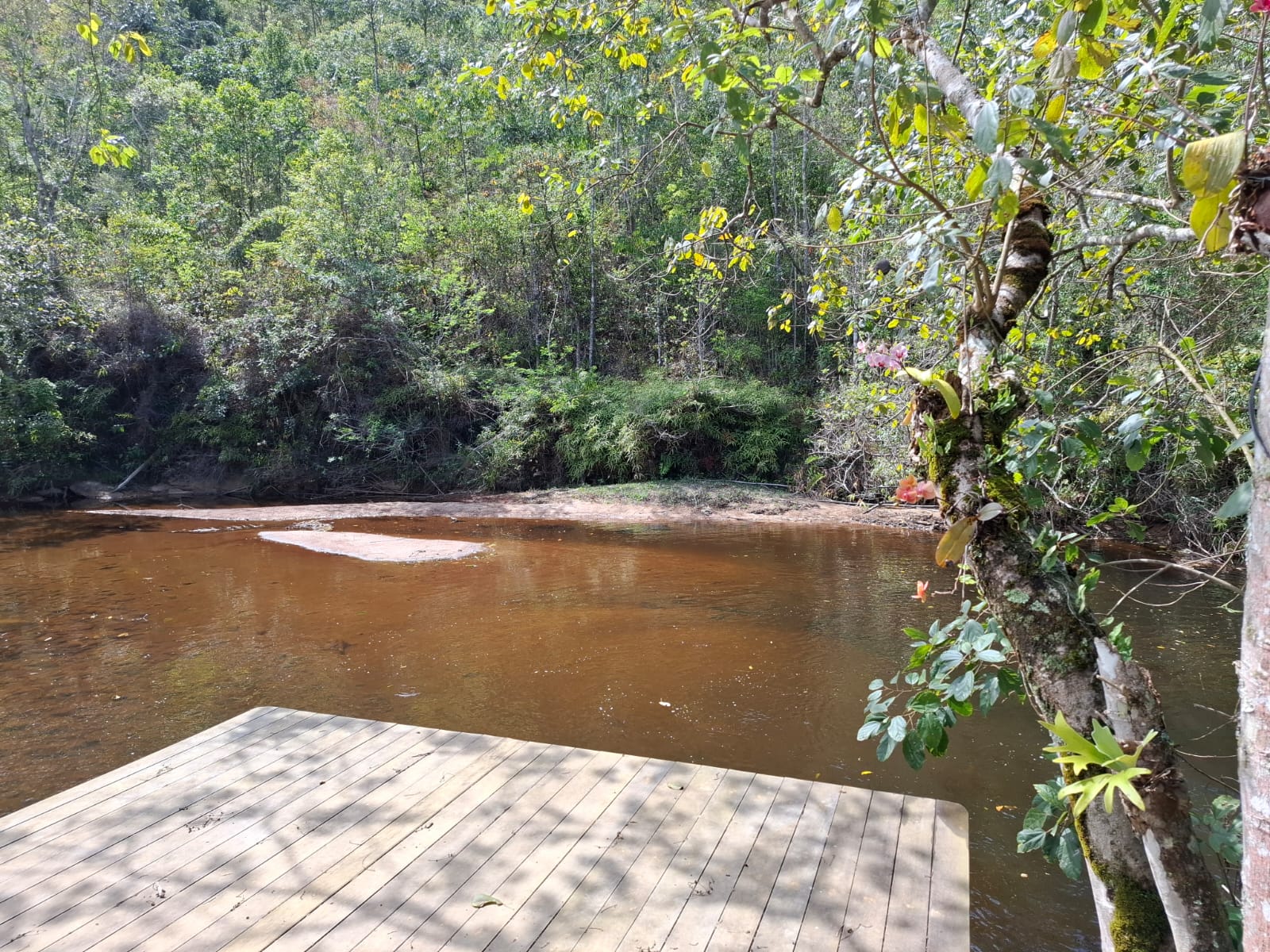 Deck de madeira